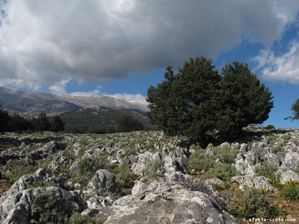 Photo report: Around Sfakia, Crete Spring 2013